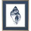 Quiet Conch Set by Caroline