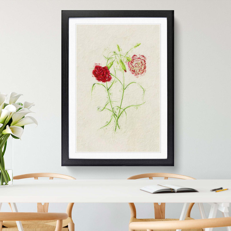 Illustration of Pink Carnation Flowers - Picture Frame Painting Print, 48cm H x 36cm W x 2cm D, Black Framed