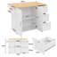 Kitchen Cart-1737973477