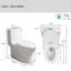 Toilette allongée une pièce à double chasse 0,8 / 1,28 GPF dans le siège inclus-102800256