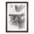 Walnut Framed