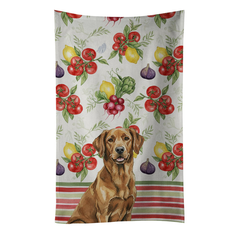 Torchon Chesapeake Bay Retriever, Chesapeake Bay Retriever