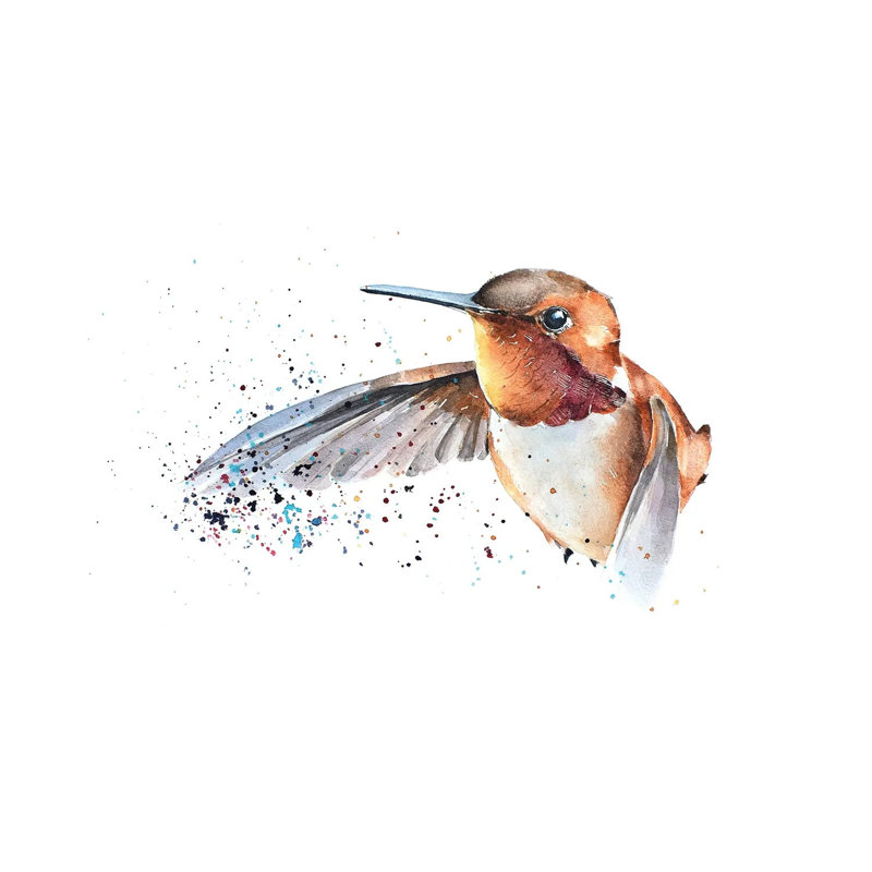 Humming Bird - Wrapped Canvas Painting, 20.32cm H x 30.48cm W
