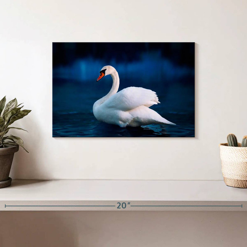 Cygne blanc pur Brampt