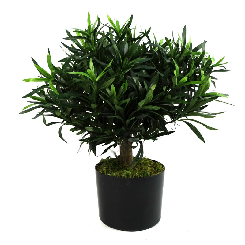 Anlin 40cm Faux Podocarpus Tree in Pot