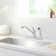 Single Handle Kitchen Faucet with Side Spray