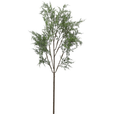 Branche de cèdre naturel 63 po