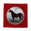 Square Napkins-417523901