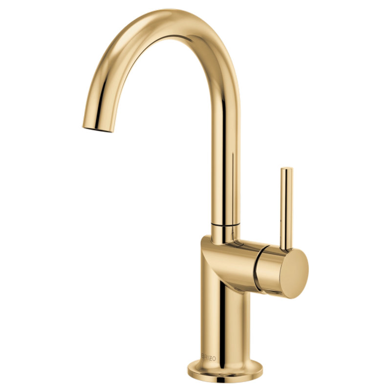 Odin® Bar Faucet with Arc Spout, Lever Handle, Polished Gold