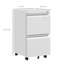 Milayna 37cm Wide 2 -Drawer Mobile Steel File Cabinet-1541583574