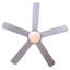 Butterworth 52'' Ceiling Fan with Light Kit