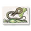 Brown Viper Snake by Mark Catesby - Wrapped Canvas-55362555