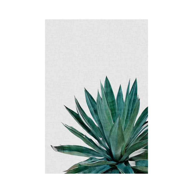 Agave Cactus by Orara Studio - Print on Canvas, Wrapped Canvas, 101.6 cm H x 66.04 cm W x 1.91 cm D