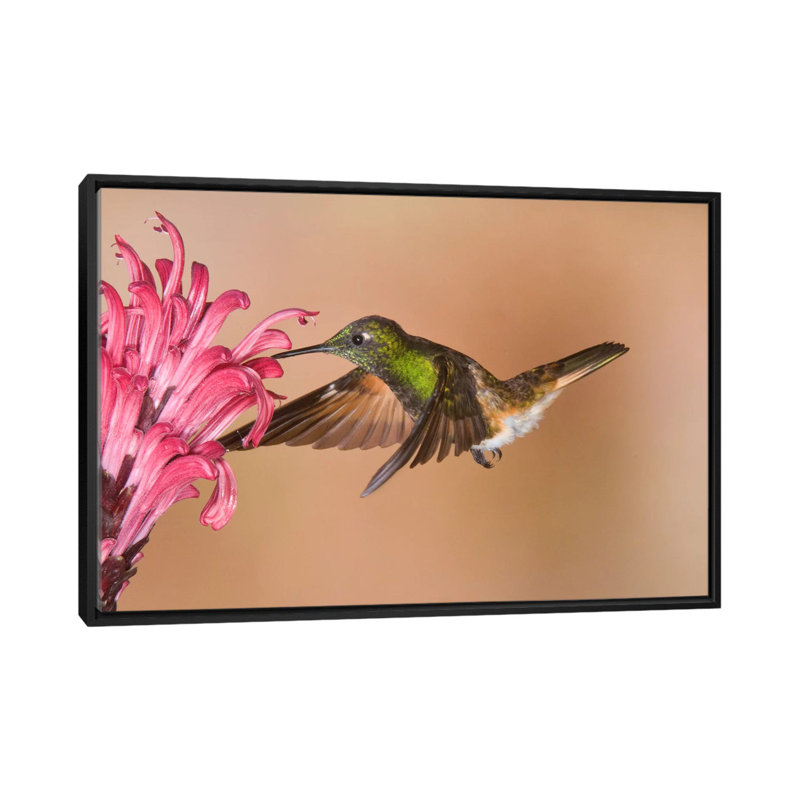 Reproduction d'art sur toile tendue, H 18 po x l 26 po x P 1,5 po, Toile avec cadre noir, Pas de tapis