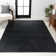 Asaldis Solid Low-Pile Black Rug