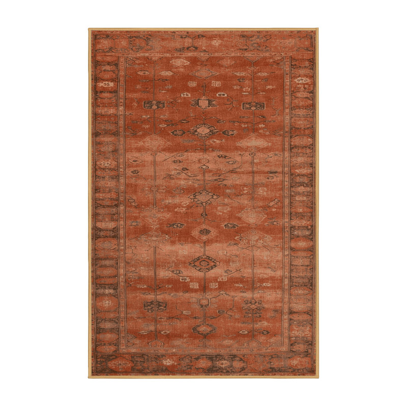 Machine Washable Overdyed Brown Area Rug, Rectangle 2' x 3'