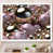 Cadre simple blanc sélectionné