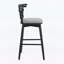 Ensemble de 2 chaises d'appoint d'intérieur combinant élégance traditionnelle et confort moderne-310092169