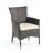 Clementine Outdoor Multibrown PE Wicker Dining Chairs (Set Of 2)
