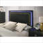 Ensemble de chambre à coucher pour grand lit 3 pièces, noir contemporain avec tête de lit à DEL Accents dorés | Bois d'ingénierie, mélamine, métal | Lits standard
