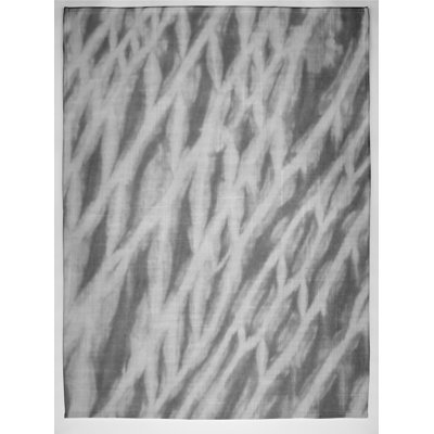 Schumann Plain Weave / Muslin Throw Blanket