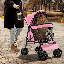 Chariot de transport pliable pour chien, poussette, 4 roues-93312234