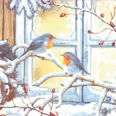 Serviettes de fenêtre oiseaux