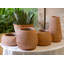 Agosto Clay Pot Planter