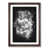 Walnut Framed