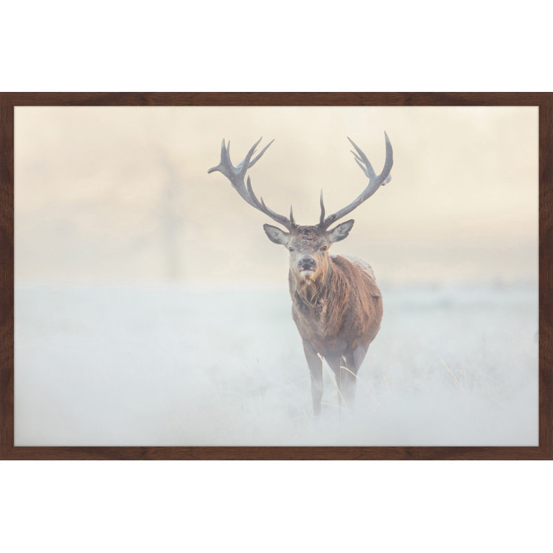 Parvez Taj - Single Picture Frame Print, 41cm H x 61cm W x 3.81cm D