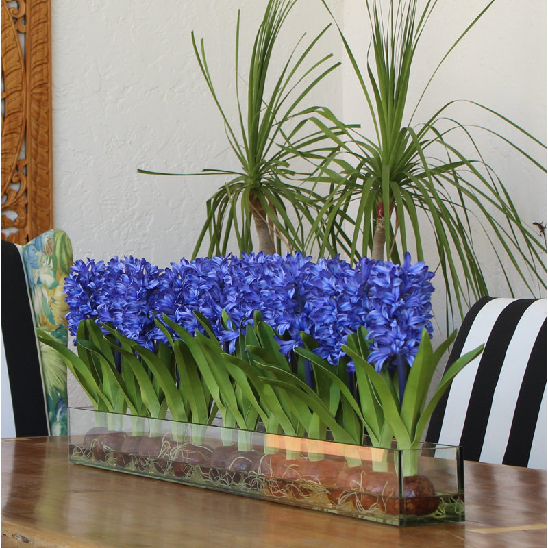 Orchids Centerpiece in Glass Planter, Blue, 16" H x 48" W x 4" D