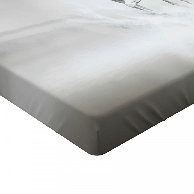 Drap-housse en chevaux, Drap-housse grand