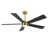 Gold with Black Blades