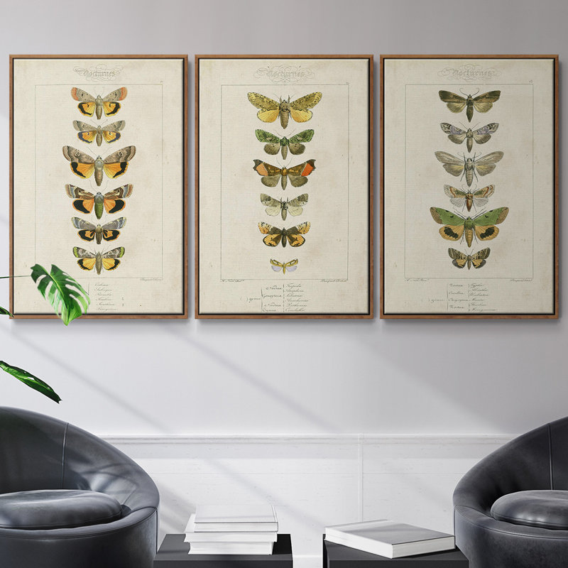 Ensemble de 3 papillons encadrés sur toile,, H 36 po x l 72 po, Noyer