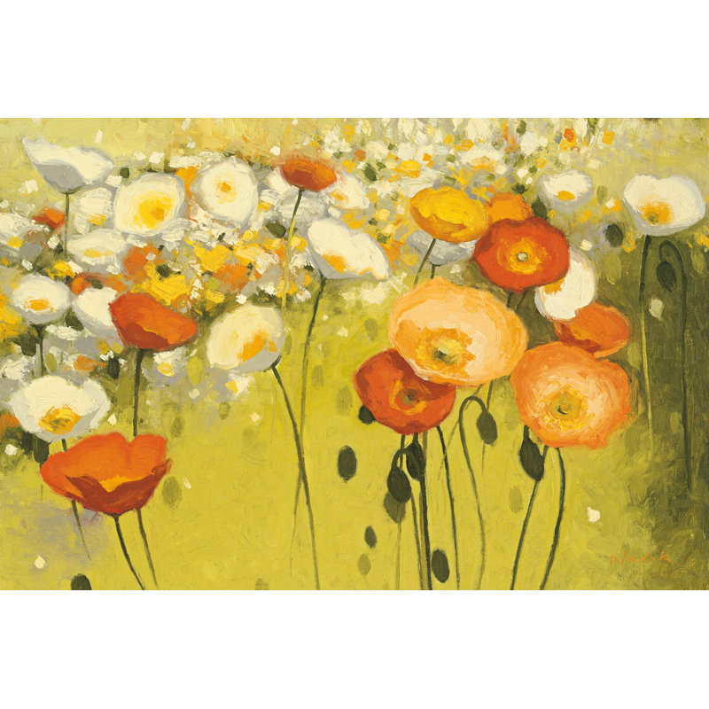Spring Confetti by Shirley Novak - No Frame Painting on Canvas, 30cm H x 46cm W