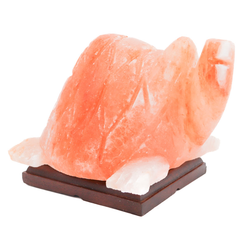 Calyse 10 Lb. No Subject Themed Salt Lamp