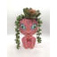Jardinière Alien
