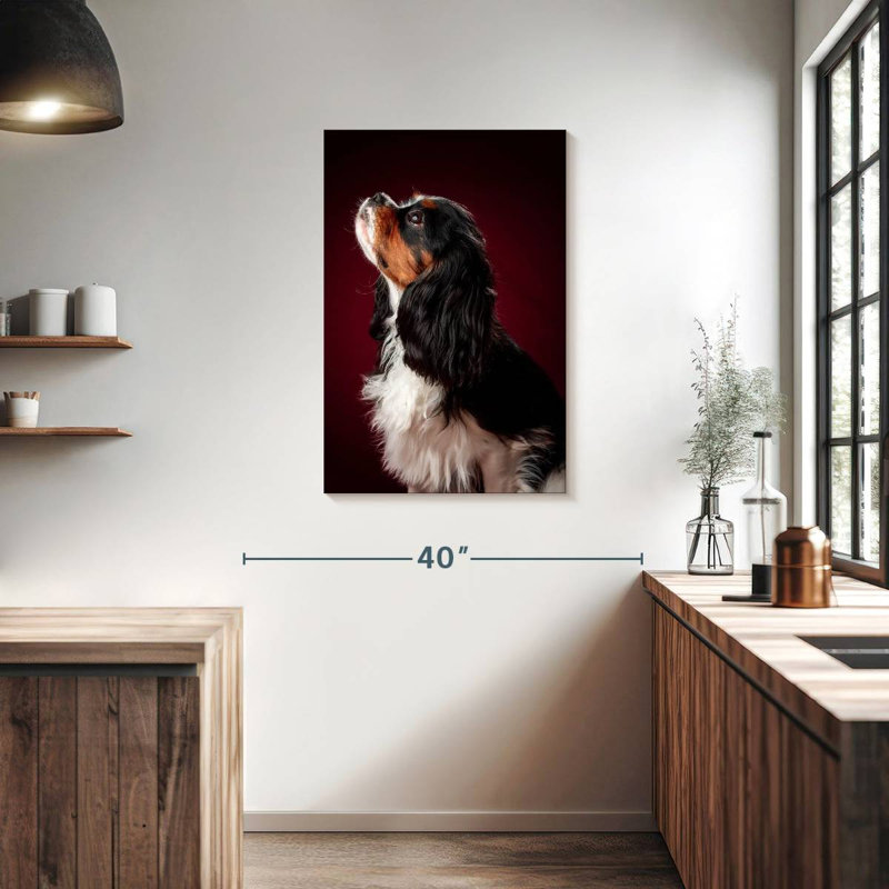 Brampt Begging Spaniel Puppy, 36" H x 24" W