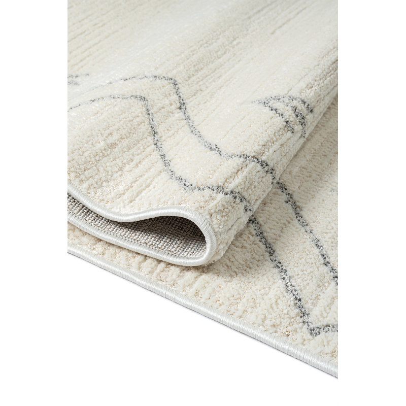 Adamae Machine Made Indoor / Outdoor Area Rug, Rectangle 200 x 290cm