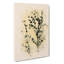 Birds in the Tree in Abstract - Wrapped Canvas-55313322