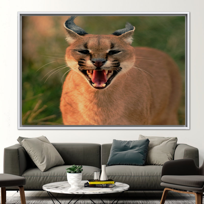 Print on Canvas, 80 cm H x 110 cm W, Framed Print without Mat, White