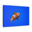 No Frame Print on Canvas-1121273459
