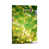 Wrapped Canvas selected
