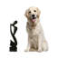 Man and Sax Wood Statue