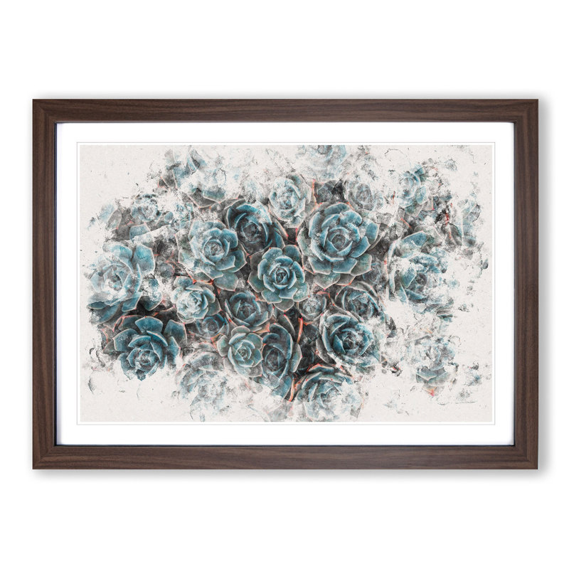 Succulent Plants Watercolour - Picture Frame Graphic Art Print, 36cm H x 48cm W x 2cm D, Walnut Framed