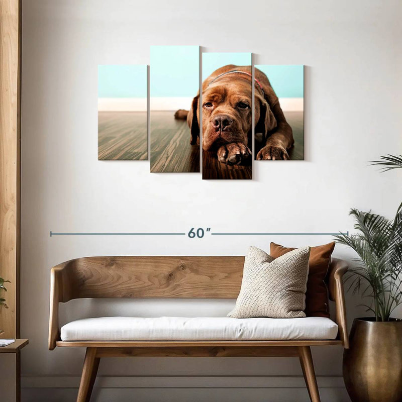 Mastiff français s'ennuie, H 27 po x l 43 po