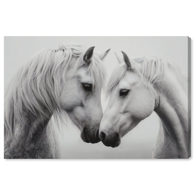 Twin Souls I Graphic Art Canvas