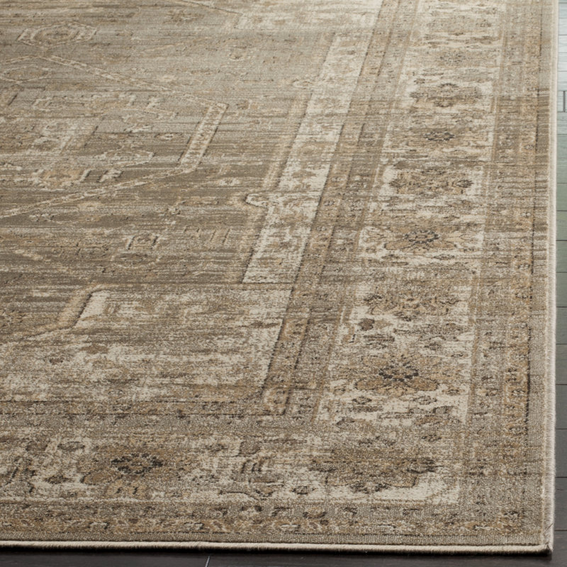 Drinkard Oriental Hand Woven Area Rug, Rectangle 160 x 229 cm