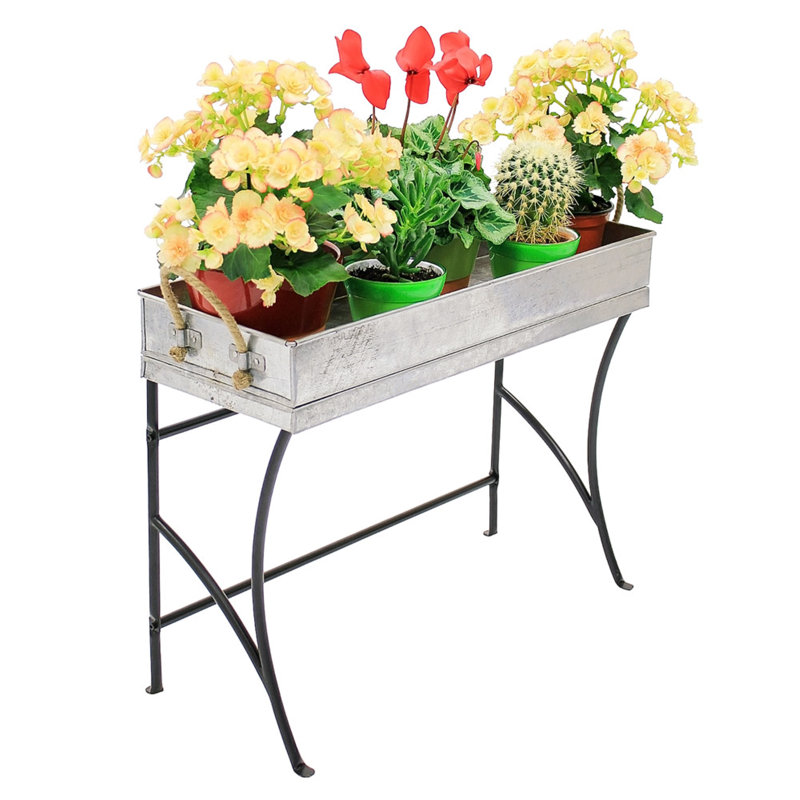 Berrier Metal Plant Stand, 21.75" H x 28.25" W x 10.25" D