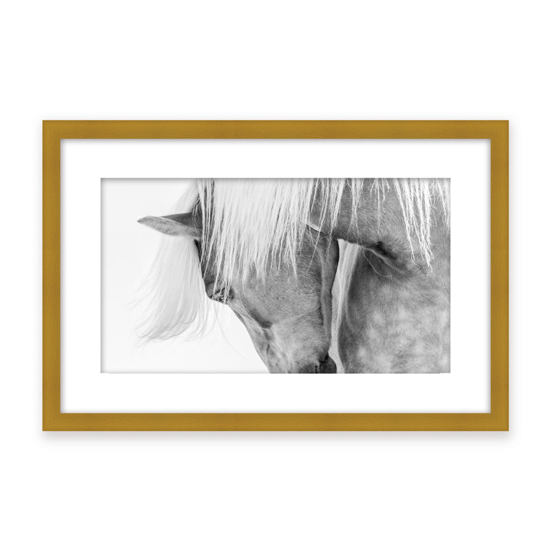 Nature Inspired Halflinger Portrait by  - Picture Frame Photograph on Paper, 24" H x 36" W x 1.125" D, Black